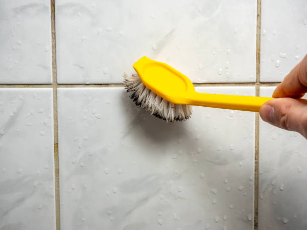 Best Mold Cleaning Services  in Potomac Heights, MD