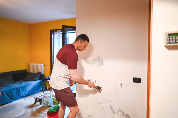 Attic Mold Removal in Potomac Heights, MD